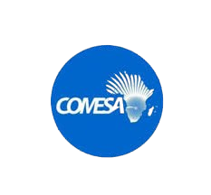comesa removebg preview